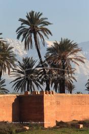 Image du Maroc Professionnelle de  Hormis les remparts de Marrakech qui sont construits entièrement en pisé selon une technique séculaire par l'Almoravide Ali Ben Youssef au début de XIIème siècle pour se protéger des attaques extérieures. La ville rouge dispose d’autres murailles qui protègent les parcs comme celle-ci qui clôturent les jardins de l'Agdal Ba Ahmed. Au fond la chaine de montagne du Haut Atlas enneigé surplombe la plaine du Haouz où de nombreux palmiers des jardins apportent à ce paysage un contraste très accentué, 3 Décembre 2012. (Photo / Abdeljalil Bounhar)